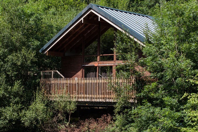 Establishment Photo of Forest Holidays - UK Tourism Online