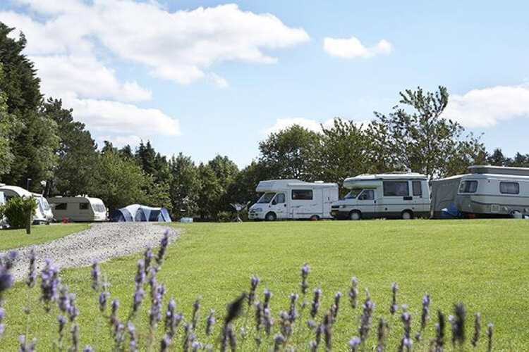 Barley Meadow Camping & Caravanning Site - Image 3 - UK Tourism Online