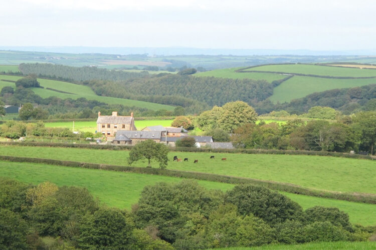 Birchill Farm and Cottages - Image 1 - UK Tourism Online