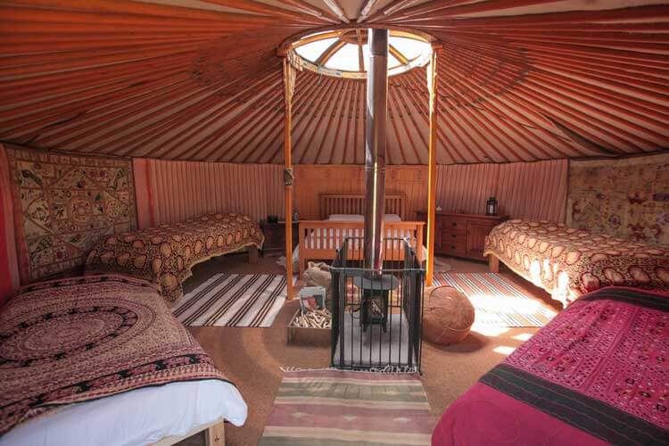 Blackdown Yurts - Eco-Friendly Yurts in Devon - Image 3 - UK Tourism Online