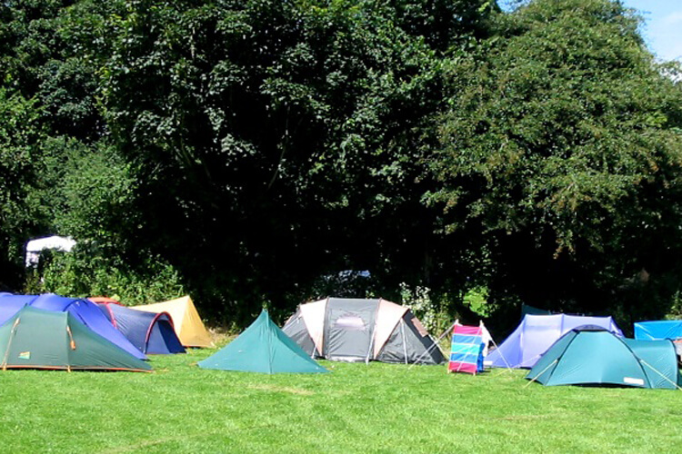 Brixton Caravan & Camping Park - Image 1 - UK Tourism Online
