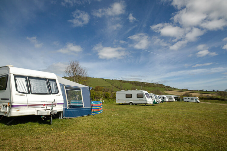 Broadleigh Farm Park - Image 2 - UK Tourism Online