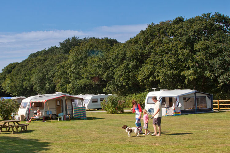 Castle Brake Holiday Park - Image 2 - UK Tourism Online