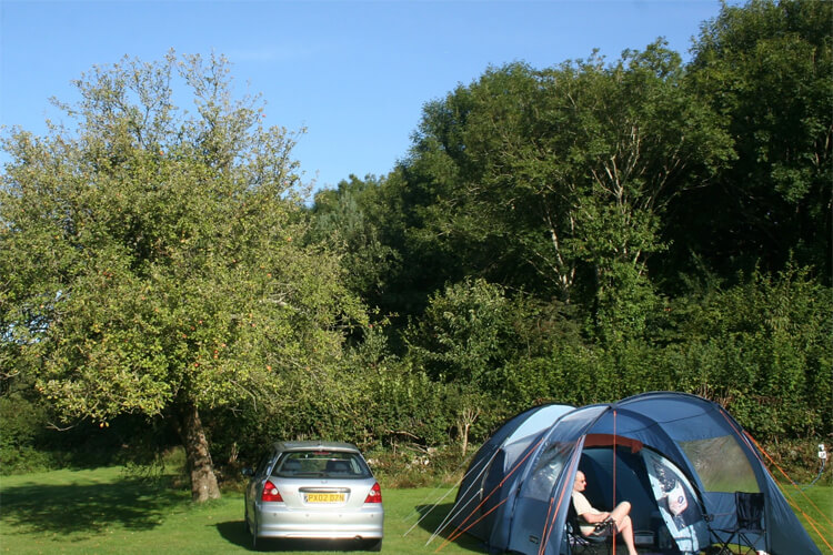 Dornafield Caravan Park - Image 5 - UK Tourism Online