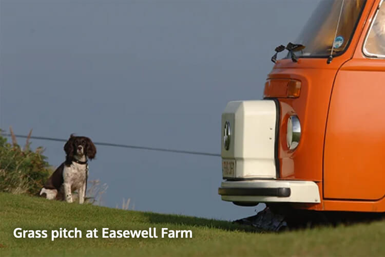 Easewell Farm Holiday Park - Image 3 - UK Tourism Online