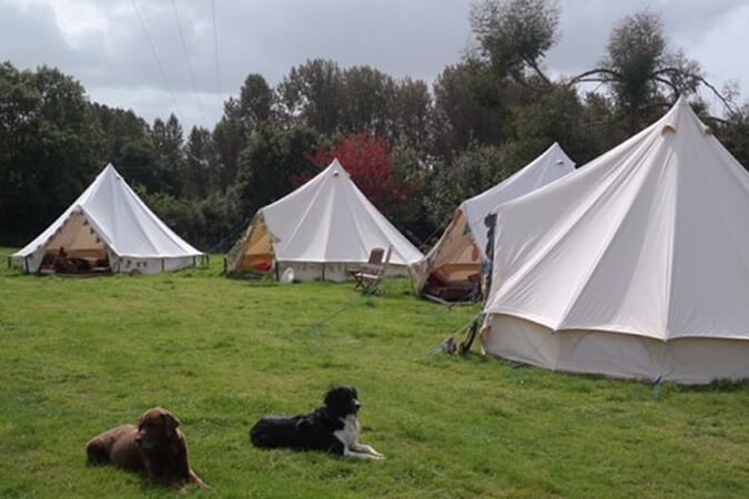 Greenacre Glamping Events Thumbnail | Honiton - Devon | UK Tourism Online