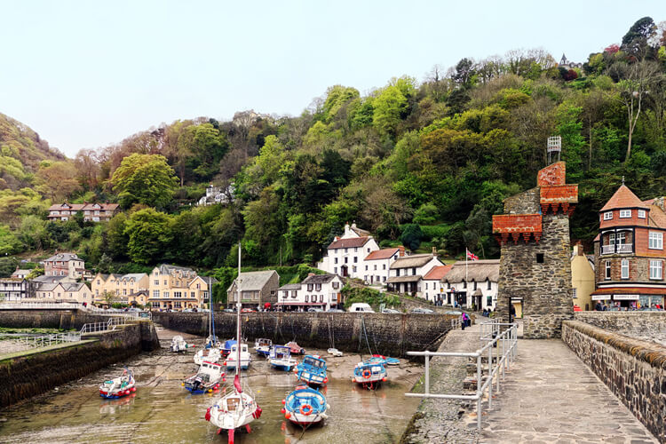 Harbour Point - Image 1 - UK Tourism Online