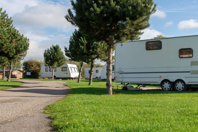 Hedleywood Caravan & Camping Park - Image 3 - UK Tourism Online