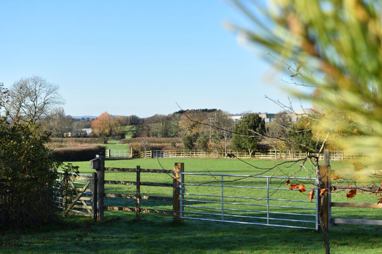Kiddicott Farm - Image 5 - UK Tourism Online