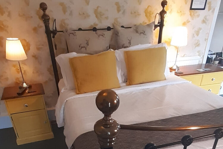 Lifton Hall - Image 2 - UK Tourism Online