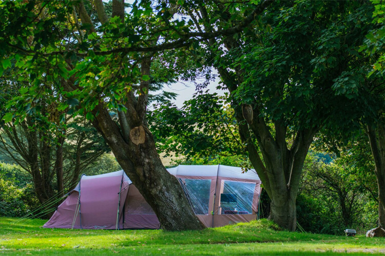 Little Meadow Campsite - Image 3 - UK Tourism Online