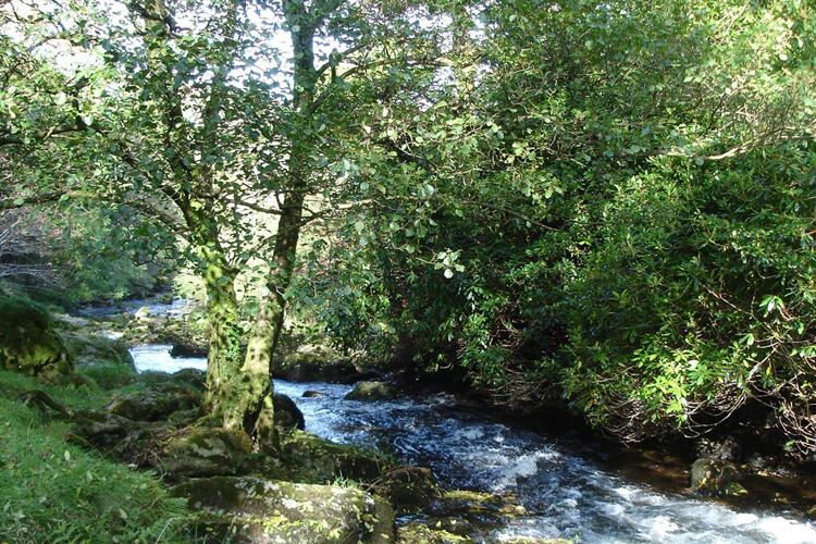 Lorna Doone House - Image 5 - UK Tourism Online