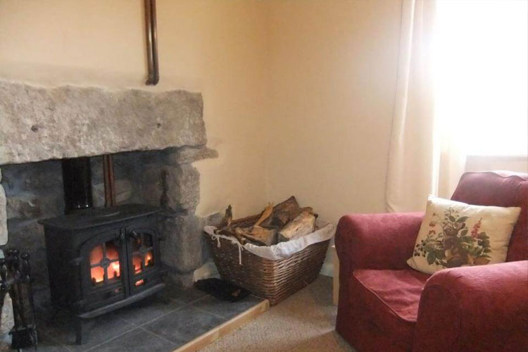 Lowertown Farm Bed and Breakfast - Image 5 - UK Tourism Online