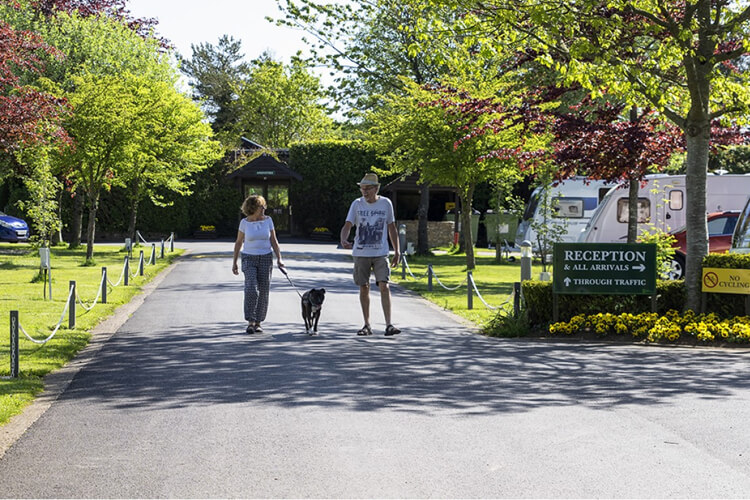 Oakdown Touring and Holiday Caravan Park - Image 2 - UK Tourism Online