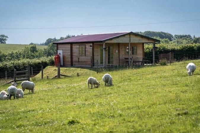 Oaktree-Lane Cabins Thumbnail | Okehampton - Devon | UK Tourism Online