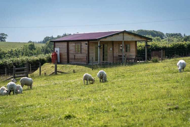 Oaktree-Lane Cabins - Image 1 - UK Tourism Online