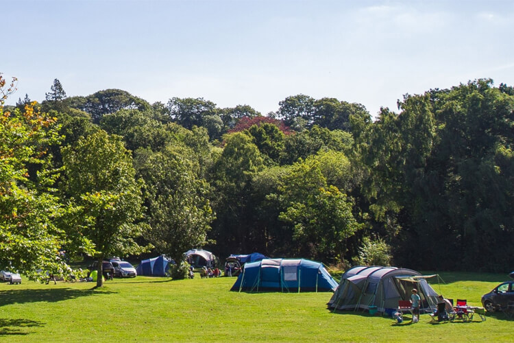 River Dart Country Park - Image 4 - UK Tourism Online