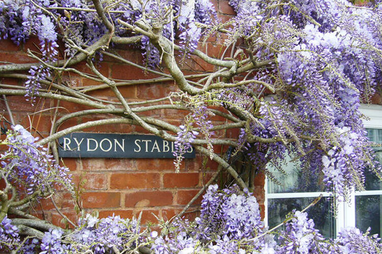 Rydon Stables Cottage in Budleigh Salterton