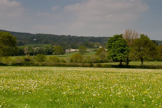 Summerhill Farm Camp Site Thumbnail | Ashburton - Devon | UK Tourism Online