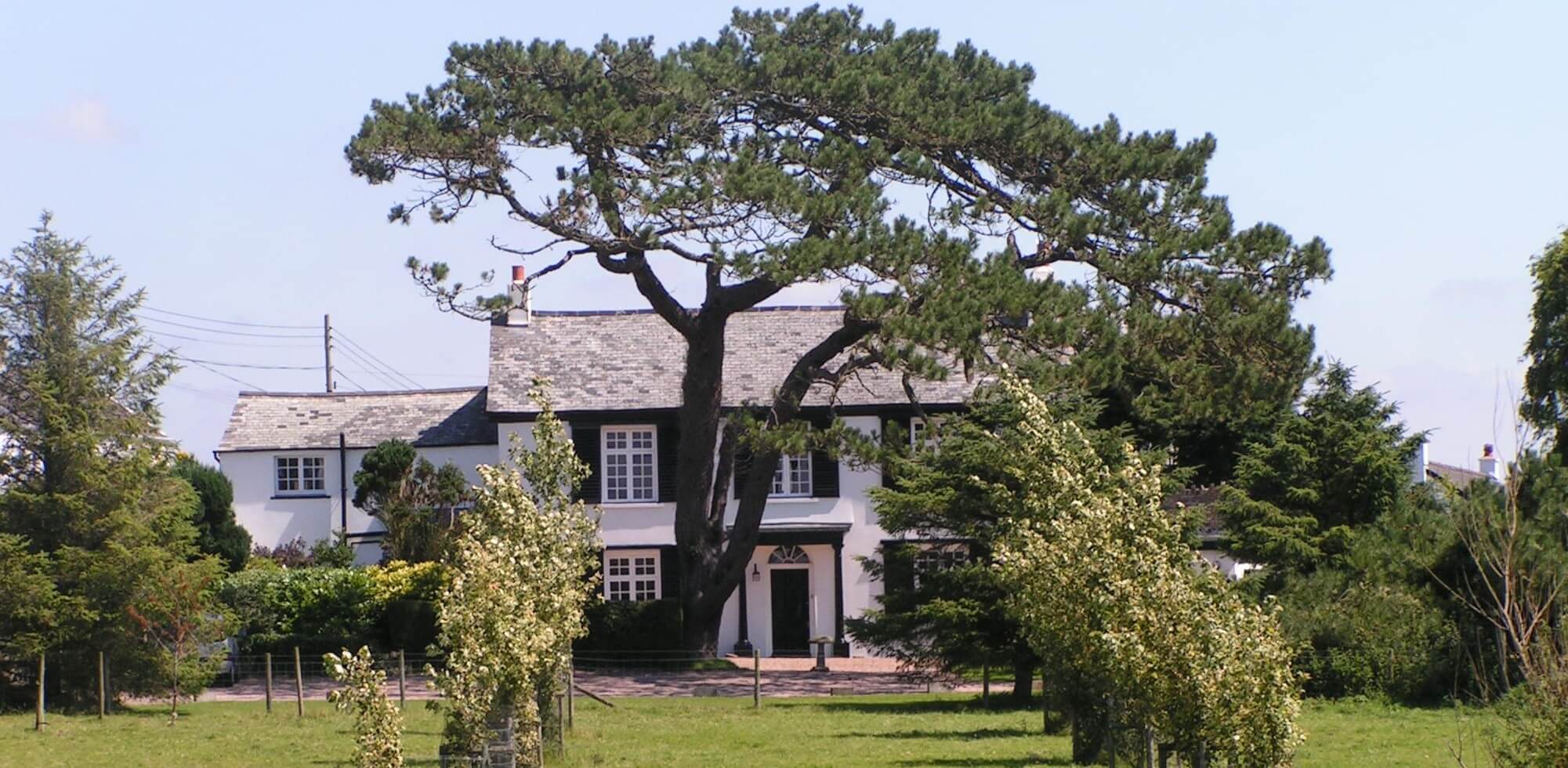 The Pines at Eastleigh - Image 1 - UK Tourism Online