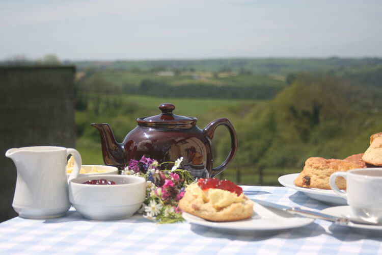 Venn Farm Cottages - Image 3 - UK Tourism Online