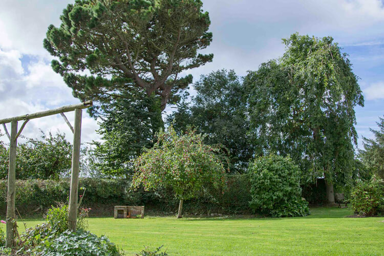 The Pines at Eastleigh -  Bed and Breakfast and Self-Catering Cottages  - Image 4 - UK Tourism Online