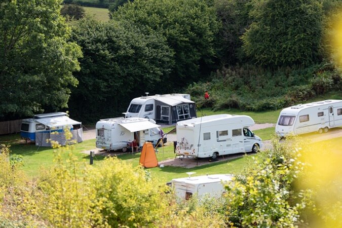 Whitehill Country Park Thumbnail | Paignton - Devon | UK Tourism Online