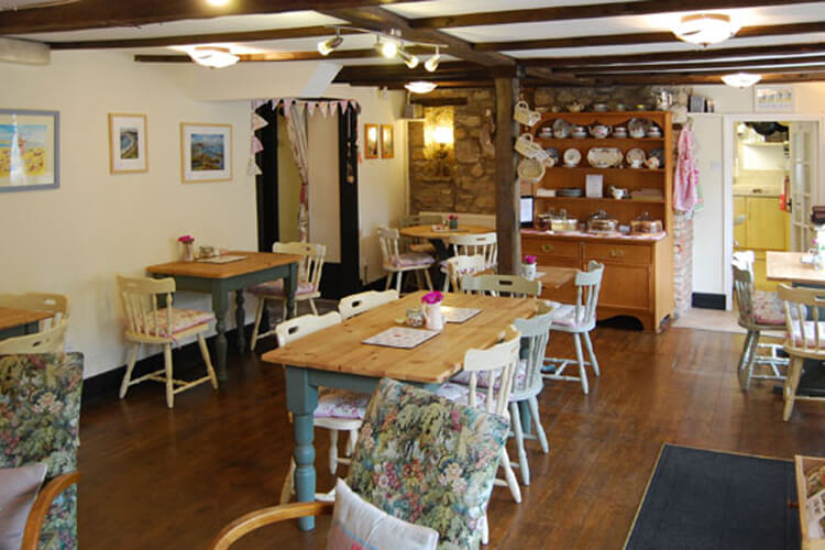 Abbotsbury Tea Rooms - Image 3 - UK Tourism Online