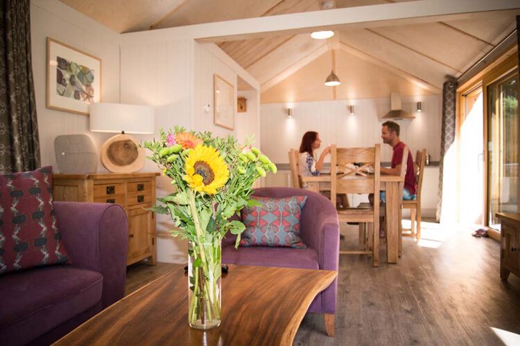 Burnbake Forest Lodges - Image 2 - UK Tourism Online