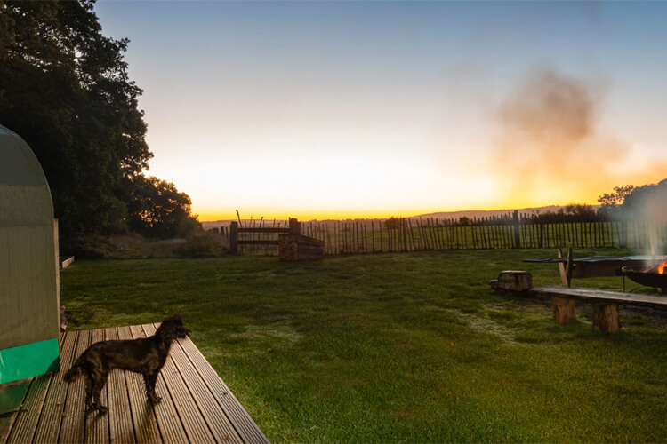 Stock Gaylard Glamping Camps - Image 2 - UK Tourism Online