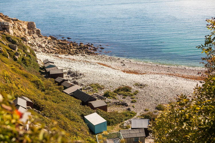 The Cove Holiday Park - Image 4 - UK Tourism Online