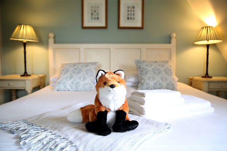 The Fox Inn - Image 5 - UK Tourism Online