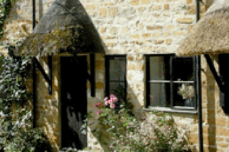 Woodlanders Cottage - Image 1 - UK Tourism Online