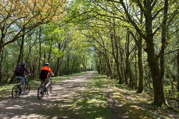 Woolsbridge Manor Farm Caravan Park - Image 3 - UK Tourism Online