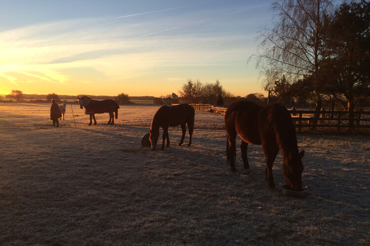 Hartwell Farm Cottages - Image 2 - UK Tourism Online