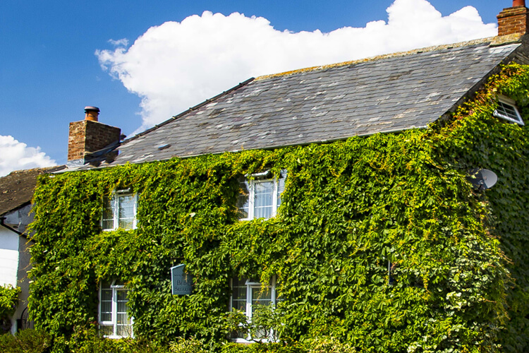 Manor Cottage Guest House - Image 1 - UK Tourism Online