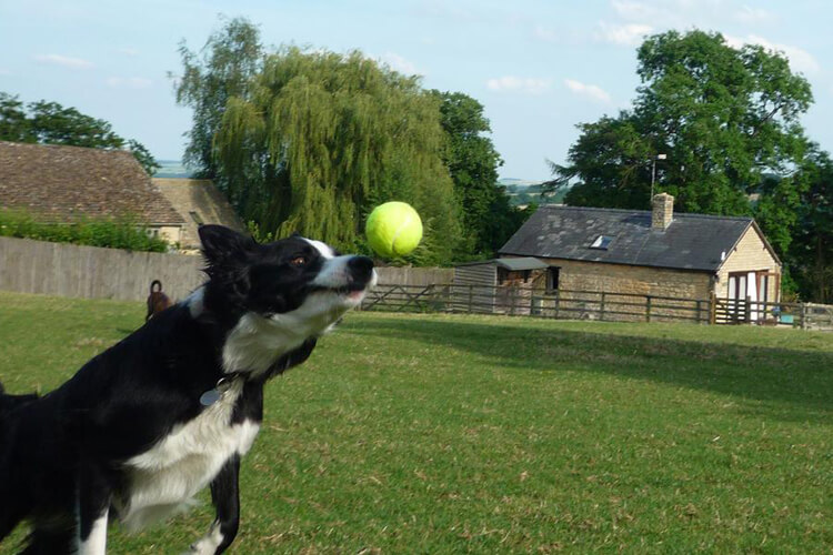 Park Farm Holiday Cottages - Image 4 - UK Tourism Online