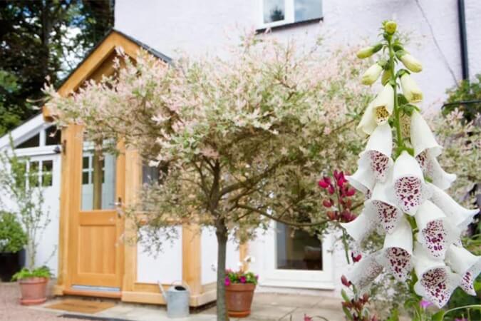 Rosebank Holiday Cottage Thumbnail | Lydney - Gloucestershire | UK Tourism Online