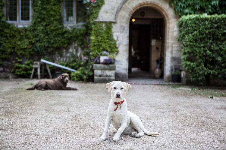 Stinchcombe Hill House Bed & Breakfast - Image 4 - UK Tourism Online