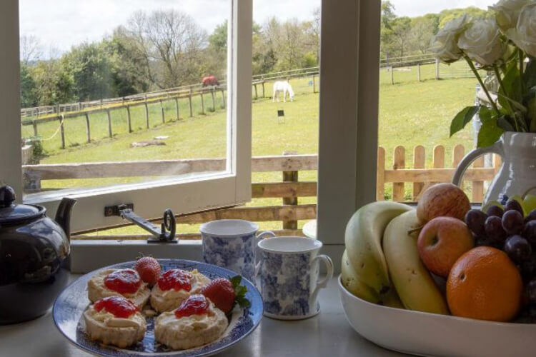 Swingletree - Image 5 - UK Tourism Online