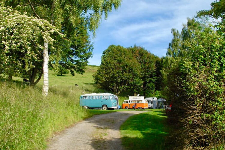 Batcombe Vale Campsite - Image 2 - UK Tourism Online