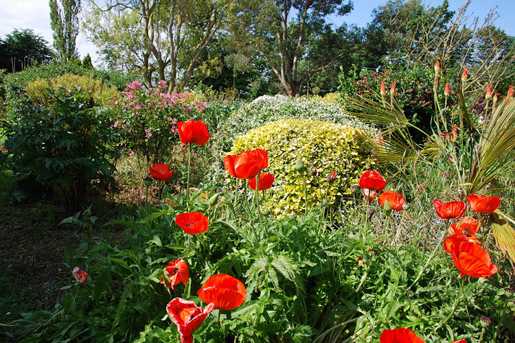 Brookhayes Farm - Image 5 - UK Tourism Online