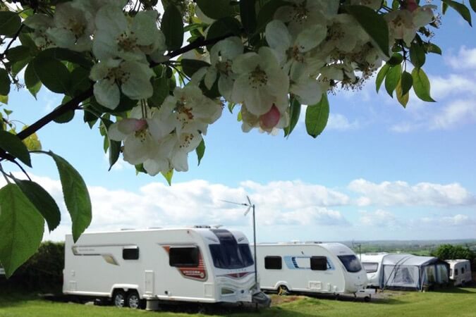 Bucklegrove Caravan & Camping Park Thumbnail | Cheddar - Somerset | UK Tourism Online