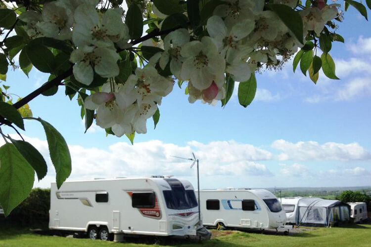 Bucklegrove Caravan & Camping Park - Image 1 - UK Tourism Online