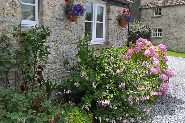 Hillview Farm Bed and Breakfast - Image 1 - UK Tourism Online