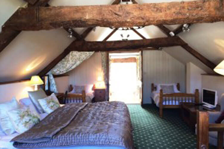 Huntstile Organic Farm Bed and Breakfast - Image 4 - UK Tourism Online