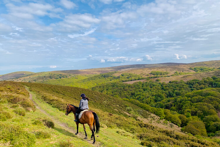 Pardlestone Farm - Image 5 - UK Tourism Online