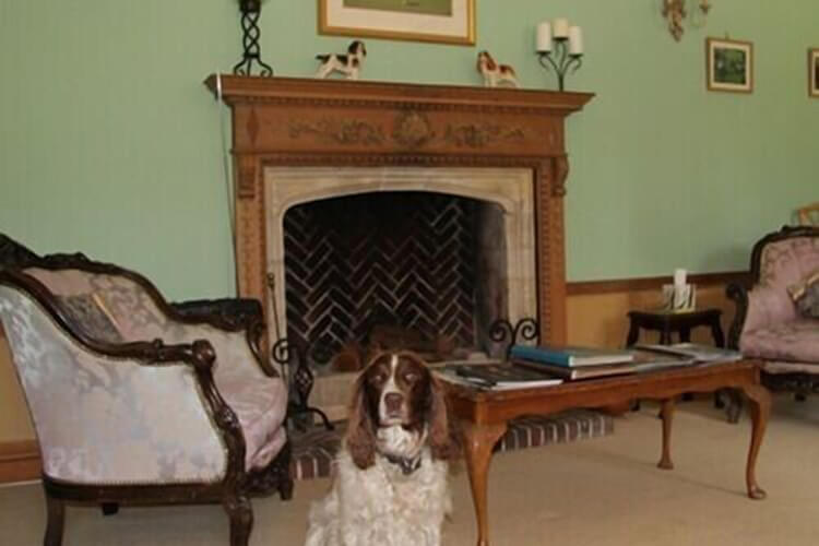 Somerton Court Country House - Image 2 - UK Tourism Online