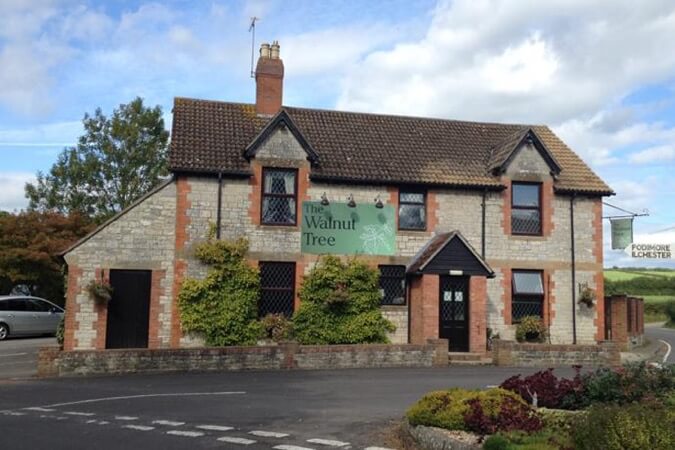 The Walnut Tree Thumbnail | Yeovil - Somerset | UK Tourism Online