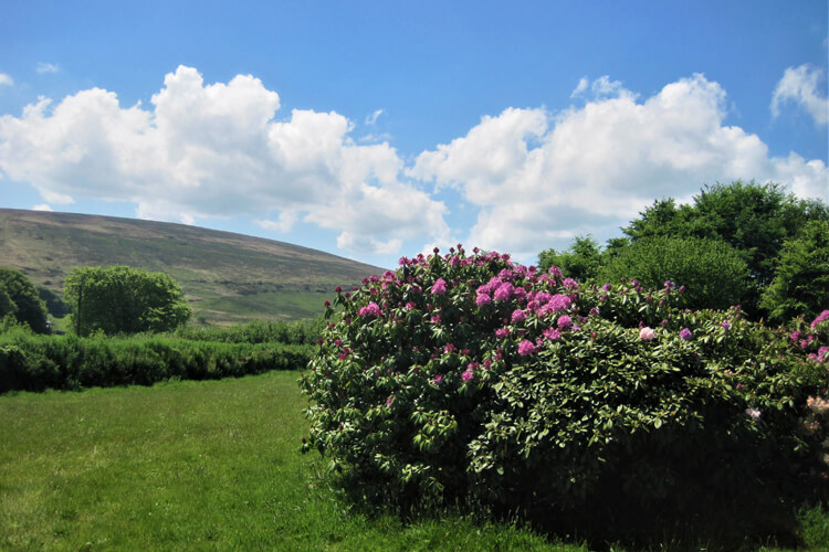 Westerclose House Cottages - Image 2 - UK Tourism Online